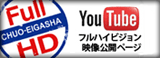 bunner-youtube.gif